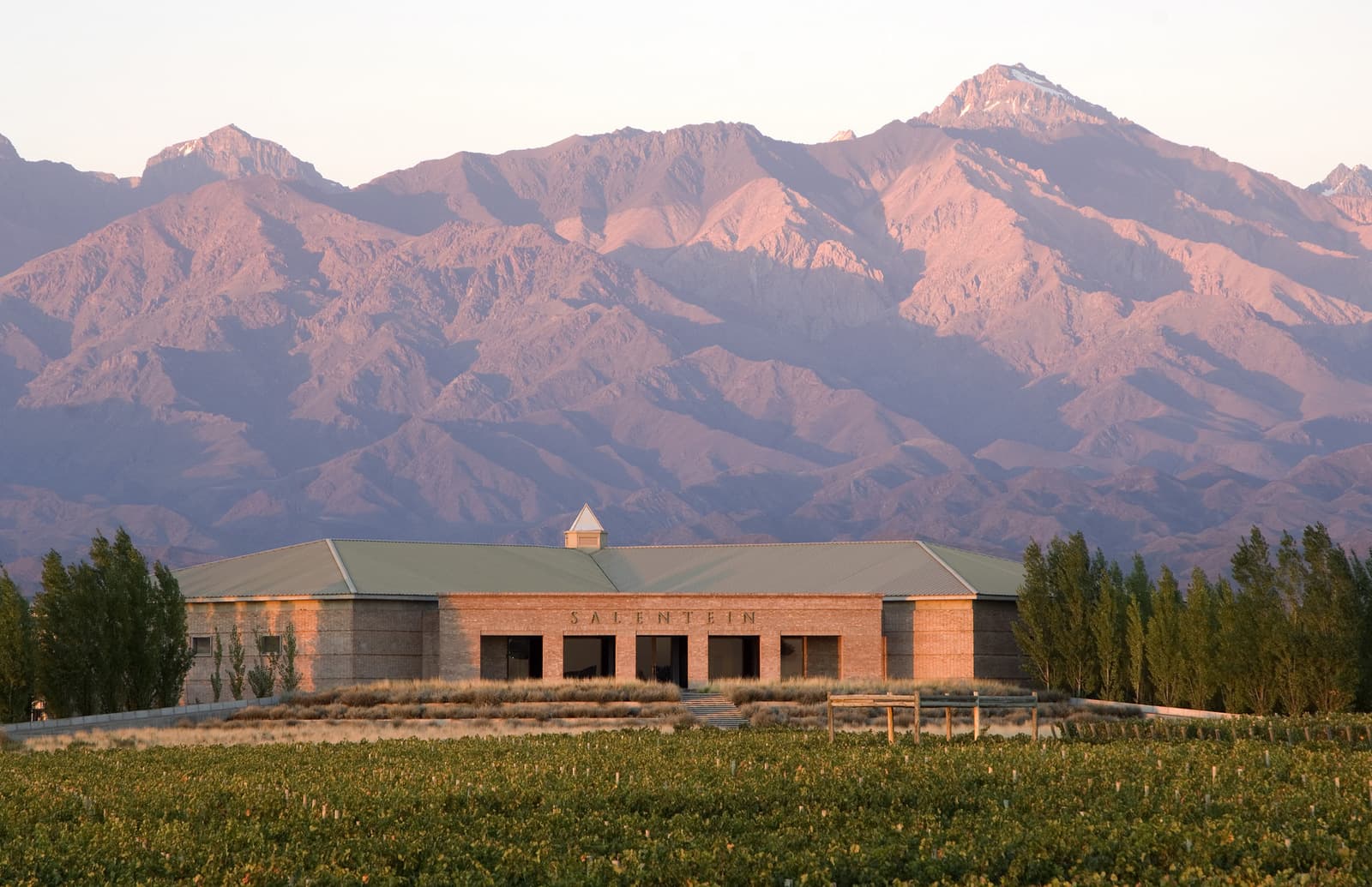 Mendoza